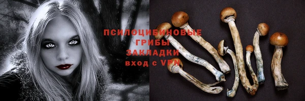 герыч Арсеньев